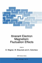 Wolfgan Brauneck, Wolfgang Brauneck, Alexander Solontsov, Dieter Wagner - Itinerant Electron Magnetism: Fluctuation Effects