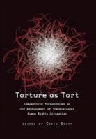 Craig Martin Scott, Craig Scott, Craig Martin Scott - Torture as Tort