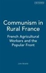 John Bulaitis - Communism in Rural France
