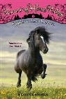 Heather Brooks, Heather/ Rowe Brooks - Running Horse Ridge #1: Sapphire: New Horizons