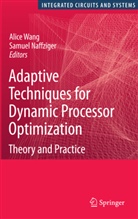 Naffziger, Naffziger, Samuel Naffziger, Alic Wang, Alice Wang - Adaptive Techniques for Dynamic Processor Optimization