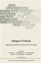 David Foster, David H. Foster, David Foster et al, Henk J. A. M. Heijmans, Peter Meer, Ying L. O... - Shape in Picture