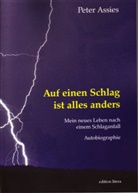 Peter Assies - Auf einen Schlag ist alles anders