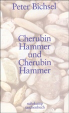 Peter Bichsel - Cherubin Hammer und Cherubin Hammer