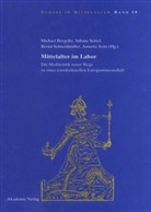 Michael Borgolte, Julian Schiel, Juliane Schiel, Bernd Schneidmüller, Bernd Schneidmüller u a, Annette Seitz - Mittelalter im Labor