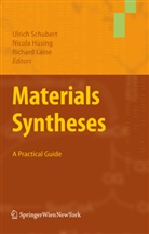 Nicol Hüsing, Nicola Hüsing, Richard Laine, Ulrich Schubert - Materials Syntheses