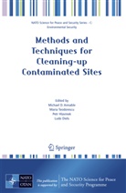 Michael D. Annable, Ludo Diels, Petr Hlavinek, Petr Hlavinek et al, Mari Teodorescu, Maria Teodorescu - Methods and Techniques for Cleaning-up Contaminated Sites