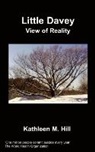 K Hill, K. Hill - Little Davey: View of Reality