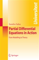 S. Salsa, Sandro Salsa - Partial Differential Equations in Action