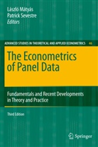 L. Mátyás, Lászl Mátyás, Lászlo Mátyás, László Mátyás, Sevestre, Sevestre... - The Econometrics of Panel Data