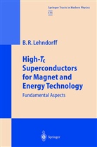 Beate Lehndorff, Beate R. Lehndorff - High-Tc Superconductors for Magnet and Energy Technology