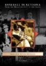 David Finoli - Baseball in Altoona