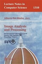 Alberto del Bimbo, Albert Del Bimbo, Alberto Del Bimbo - Image Analysis and Processing