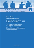 Klau Boers, Klaus Boers, Reinecke, Jost Reinecke - Delinquenz im Jugendalter