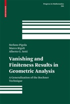 Stefan Pigola, Stefano Pigola, Marc Rigoli, Marco Rigoli, Alberto G Setti, Alberto G. Setti - Vanishing and Finiteness Results in Geometric Analysis