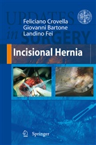 Giovann Bartone, Giovanni Bartone, Felician Crovella, Feliciano Crovella, Landino Fei - Incisional Hernia