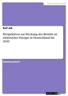 Ralf Jess - Perspektiven zur Deckung des Bedarfs an elektrischer Energie in Deutschland bis 2020