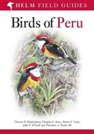 Et al, Daniel F. Lane, John P. O'Neill, Theodore A. Parker III, Thomas S Schulenberg, Thomas S. Schulenberg... - Birds of Peru