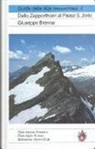 Giuseppe Brenna - Alpi Mesolcinesi tome 4: Dallo Zapporthorn al Passo San Jorio