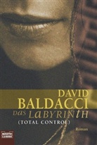 David Baldacci - Das Labyrinth
