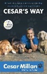 Cesar Millan - Cesar's Way