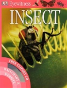 Insect