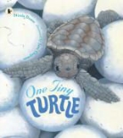 Nicola Davies, Jane Chapman - One Tiny Turtle