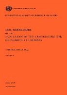 Iarc, Who, World Health Organization - Vol 24 IARC Monographs: Some Pharmaceutical Drugs