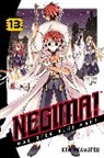 Ken Akamatsu, Akamatsu Ken - Negima volume 13