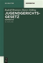Brunne, Rudol Brunner, Rudolf Brunner, Dölling, Dieter Dölling - Jugendgerichtsgesetz (JGG), Kommentar