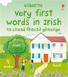 Dominika Boon, Dominika Brooks Boon, Brooks, Felicity Brooks, Brooks Felicity, Litchfield... - Very First Words in Irish