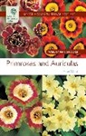 Peter Ward - Primroses and Auriculas