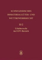 Matthias Arn, Gert Lück, Emil F. Neff - Schweizerisches Immaterialgüter- und Wettbewerbsrecht: Urheberrecht im EDV-Bereich