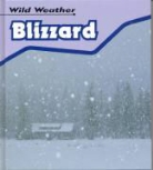 Catherine Chambers - Blizzard