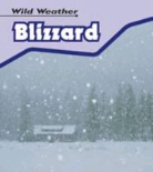 Catherine Chambers - Blizzard
