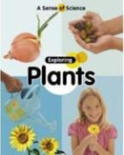 Claire Llewellyn - Exploring Plants