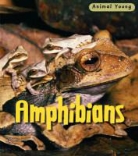 Rod Theodorou - Amphibians