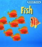 Rod Theodorou - Fish