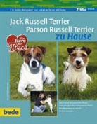 Cornelia Renczes, Cornelia (Dr.) Renczes, Dr. Cornelia Renczes - Jack Russell Terrier, Parson Russell Terrier zu Hause