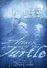 Drew Carlson, Drew/ Johnson Carlson, David A Johnson, David A. Johnson - Attack of the Turtle