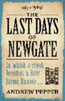 Andrew Pepper, Pepper Andrew - The Last Days of New gate