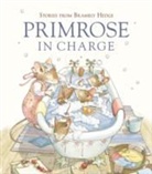 Alan MacDonald, Lizzie Sanders - Stories from Brambly Hedge