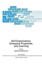 Agness Babloyantz, Agnessa Babloyantz - Self-Organization, Emerging Properties, and Learning