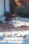 Jack Swenson - Wild Turkeys & Other Stories
