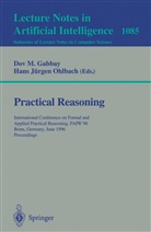 Dov M. Gabbay, Jürgen Ohlbach, Jürgen Ohlbach, Do M Gabbay, Dov M Gabbay, Hans Jürgen Ohlbach - Practical Reasoning