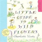 Charlotte Voake - A Little Guide To Wild Flowers