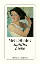 Meir Shalev - Judiths Liebe