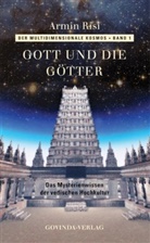 Armin Risi - Der multidimensionale Kosmos - Bd. 1: Gott und die Götter