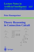 Peter Baumgartner - Theory Reasoning in Connection Calculi