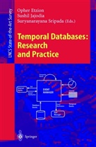 Opher Etzion, Sushi Jajodia, Sushil Jajodia, Suryanarayana Sripada - Temporal Databases: Research and Practice